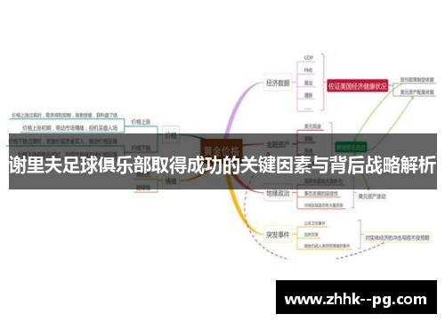 谢里夫足球俱乐部取得成功的关键因素与背后战略解析